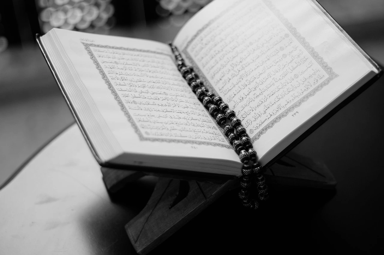 Image for The best online Quran academy at Rabwa Academy