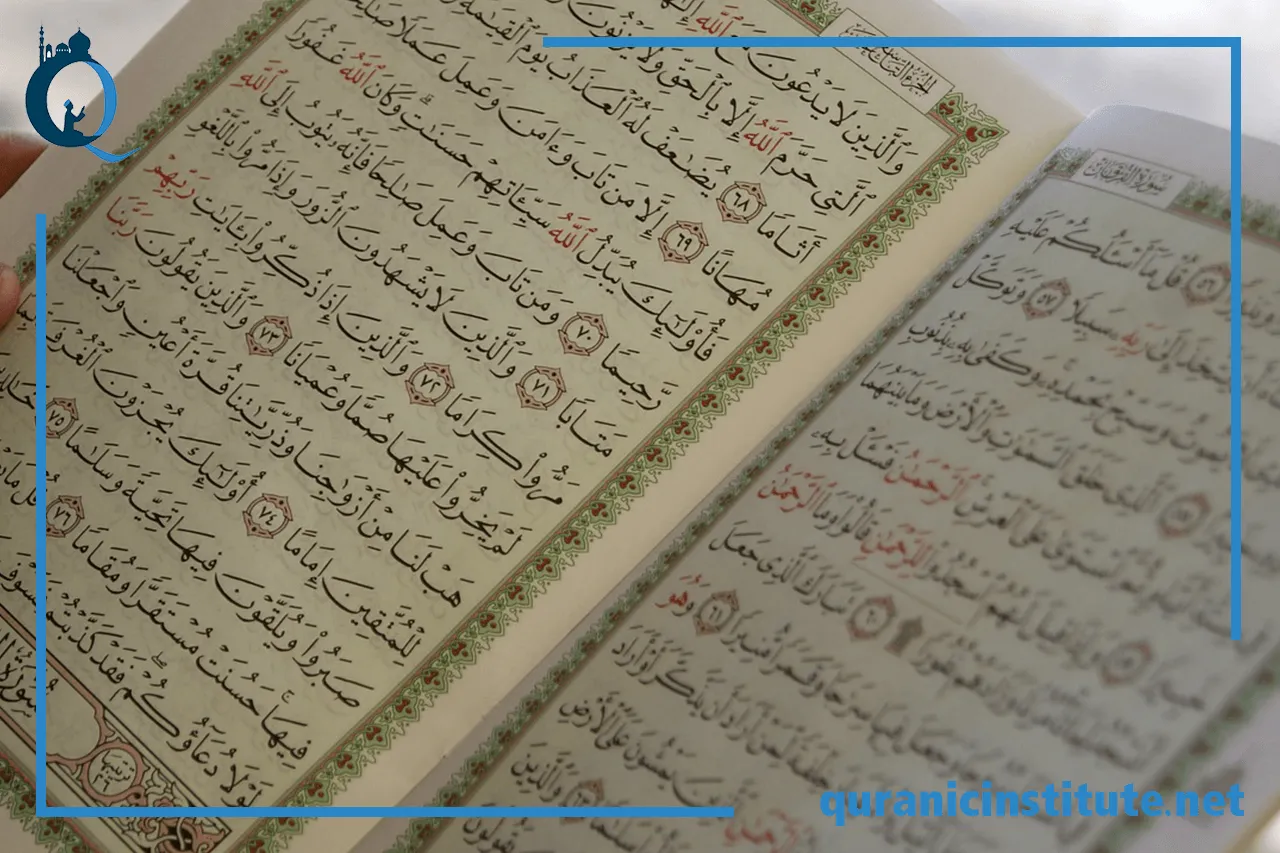Image for Online Arabic grammar course: master and explore Similarities and Differences with Other Languages at Rabwa Academy